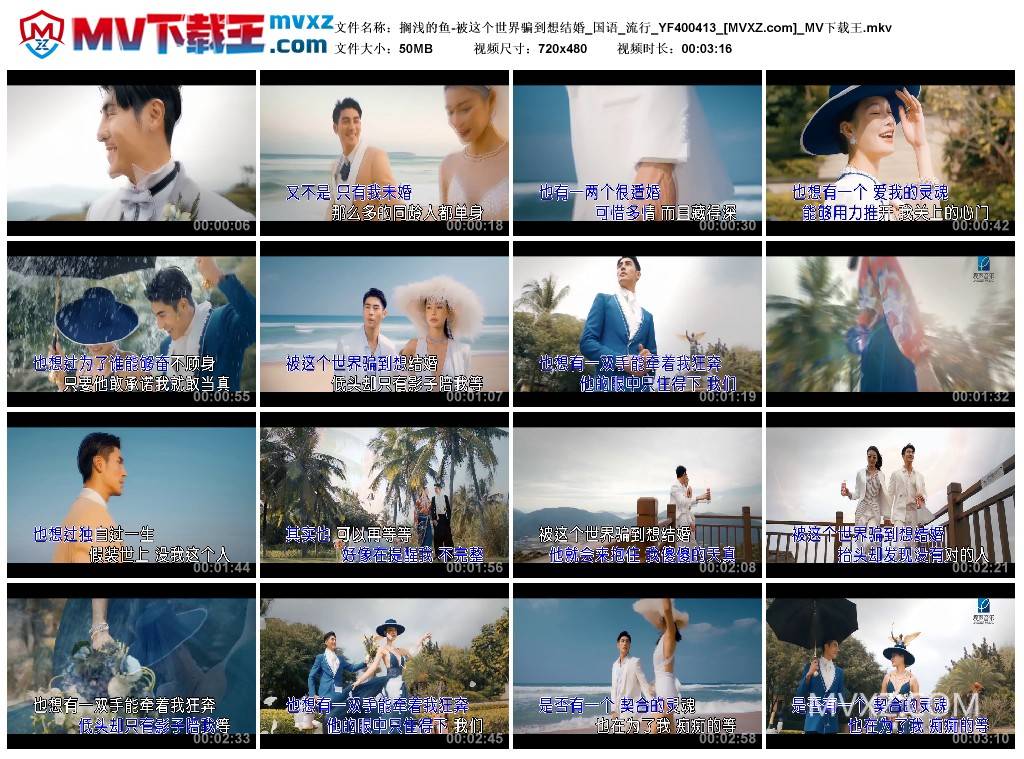 搁浅的鱼-被这个世界骗到想结婚_国语_流行_YF400413
